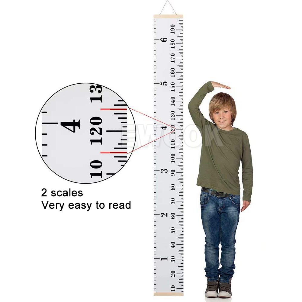 ride height ruler tool